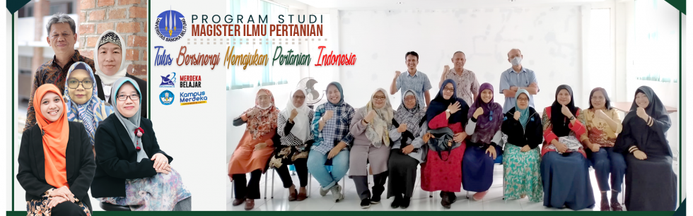 universitas bangka belitung